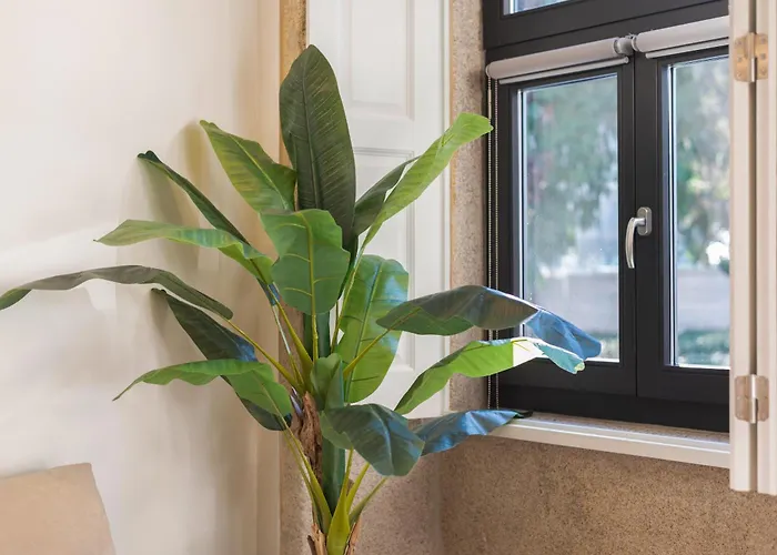 Cosy House Downtown With Swimming Pool And Ac Apartamento