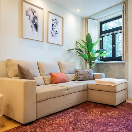 Cosy House Downtown With Swimming Pool And Ac Lejlighed