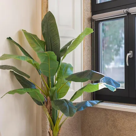 Cosy House Downtown With Swimming Pool And Ac Apartamento